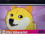 Doge nation world