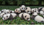 leuke kinderen