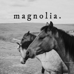 - Magnolia Stables -