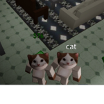 Jon7exp gang