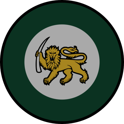 RhAF Roundel Patch [Right]