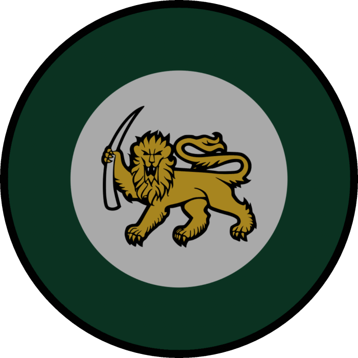 RhAF Roundel Patch [Right]