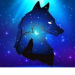 nova_jwolf
