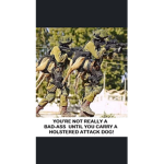 Marine force recon Team l