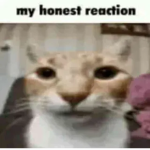 wеt