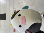 MOOO COW