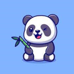 Queen panda fan
