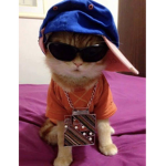 $wagerr$
