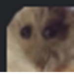 esponja bobo