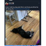 lol pog