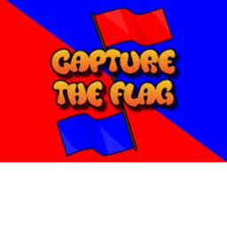 Capture the Flag (BETA)