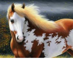 Always be nice and keep on loving horses