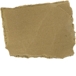 The Cardboard Bois