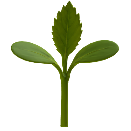 leafy sprout thumbnail
