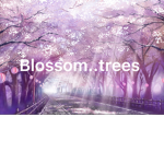 Blossom..trees