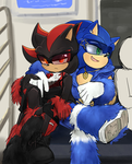 Team sonic and shadow