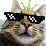 lol robux...