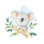 the koala family <3