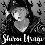 +.Ｓｈｉｒｏｉ ｕｓａｇｉ.+ (白いうさぎ)