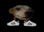crocs group thingie