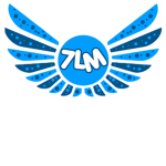 7LM Interactive