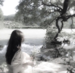 -pawhs-