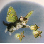 butterfly!
