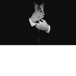 |TEAM SHADOW OFFICIAL|