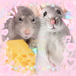 Rat are cool