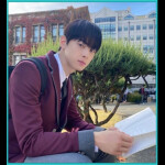 팝켓 부대 (미완성)