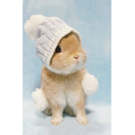 Bunny frog