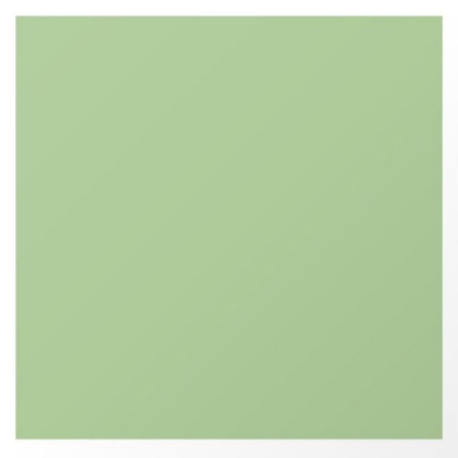 solid green Roblox decal