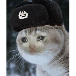 XxKittygodxX