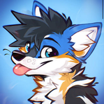 Furrys grup