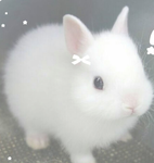|~cutesy~|
