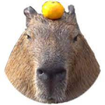 capybara gang 2023