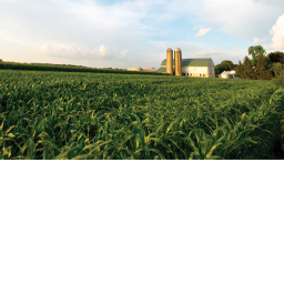 Farming Simulator