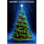 The Beautiful Christmas Tree!