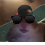 Free rob_x