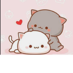 Cute cows group