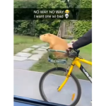 booboobux