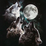 Nightcore wolves