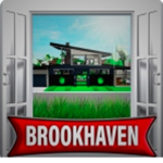 Brook haven group group