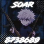 彡SoaR
