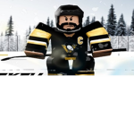 NHL hockey fan group.