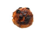burnt buscuits