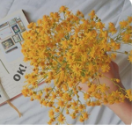 ~*Honey bees Aesthetic*~