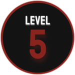 Level 5