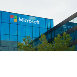 The Apple And Windows Store
