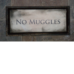 Harry Potter Hangout